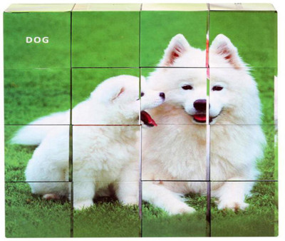

Ratnas EDU.PUZZLE CUBE PET ANIMAL PVC(Multicolor)