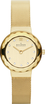 

Skagen 456SGSGI Watch - For Women
