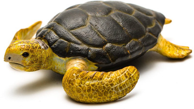 Collecta Loggerhead Turtle(Multicolor)
