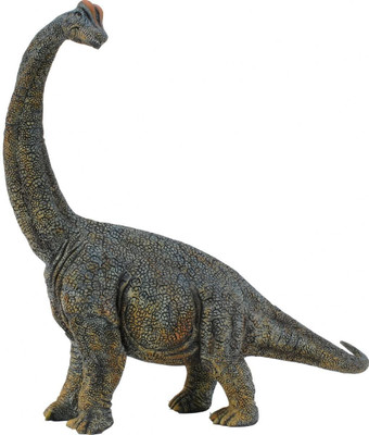 Collecta Brachiosaurus Toy(Multicolor)