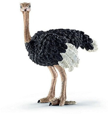 

Collecta Ostrich Figure(Multicolor)