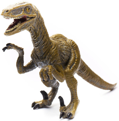 

Collecta Velociraptor Toy(Multicolor)