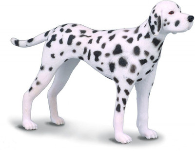 

Collecta Dalmatian(Multicolor)