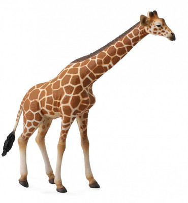 

Collecta Reticulated Giraffe - Realistic International Wildlife Toy Replica(Multicolor)