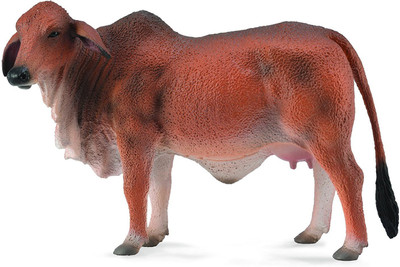 

Collecta Red Brahman Cow(Multicolor)