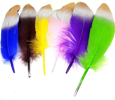 

Aadya Crafts Colourful Feathers Shaded Medium