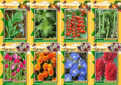 Airex Cluster Bean, Mint (Pudina), Tomato Cherry, Snake Gourd, Gomphrena Mixed, French Marigold, Morning Glory and Gaillardia Double Red Seed (Pack Of 15 seed * 4 Per Pkts of Vegetables) + (Pack Of 15 Seed * 4 Per Pkts Flower) Seed Seed(15 per packet)