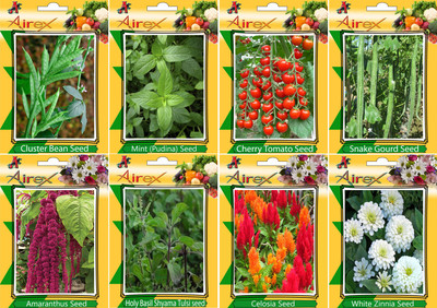 Airex Cluster Bean, Mint (Pudina), Tomato Cherry, Snake Gourd, Red Amaranthus, Holy Basil (Shyama Tulsi), Celosia and White Zinnia Seed (Pack Of 25 seed * 4 Per Pkts of Vegetables) + (Pack Of 25 Seed * 4 Per Pkts Flower) Seed + Get 1 Packet of Herb Seed F