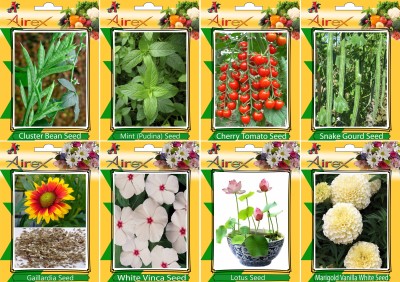 Airex Cluster Bean, Mint (Pudina), Tomato Cherry, Snake Gourd, Gaillardia, White Vinca, Lotus and White Marigold Seed (Pack Of 25 seed * 4 Per Pkts of Vegetables) + (Pack Of 25 Seed * 3 Per Pkts Flower + 10 White Marigold) Seed + Get 1 Packet of Herb Seed Free Seed(25 per packet)