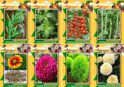 

Airex Cluster Bean, Mint (Pudina), Tomato Cherry, Snake Gourd, Gaillardia, Purple Zinnia, Kochia and White Marigold Seed + Humic Acid Fertilizer (For Growth of All Plant and Better Responce) 15 gm Humic Acid + (Pack Of 50 seed * 3 Per Pkts of Vegetables +