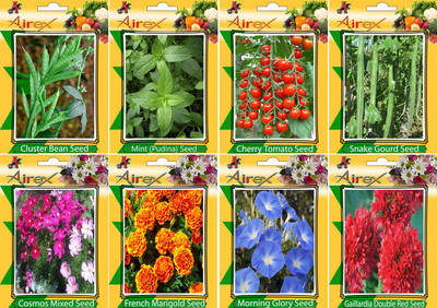 

Airex Cluster Bean, Mint (Pudina), Tomato Cherry, Snake Gourd, Cosmos Mixed, French Marigold, Morning Glory and Gaillardia Double Red Seed (Pack Of 50 seed * 3 Per Pkts of Vegetables + 15 Snake Gourd) + (Pack Of 50 Seed * 4 Per Pkts Flower) Seed + Get 2 p