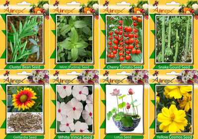 

Airex Cluster Bean, Mint (Pudina), Tomato Cherry, Snake Gourd, Gaillardia, White Vinca, Lotus and Yellow Cosmos Seed + Humic Acid Fertilizer (For Growth of All Plant and Better Responce) 15 gm Humic Acid + (Pack Of 50 seed * 3 Per Pkts of Vegetables + 15 