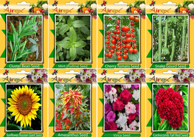 

Airex Cluster Bean, Mint (Pudina), Tomato Cherry, Snake Gourd, Sunflower, Amaranthus, Vinca and Cockscomb Tall Red Seed (Pack Of 20 seed * 4 Per Pkts of Vegetables) + (Pack Of 20 Seed * 4 Per Pkts Flower) Seed Seed(20 per packet)