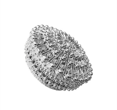 

Majik Wedding Gift Box | Plastic Jewellery Box |Storage Box Container Vanity Box(Silver)