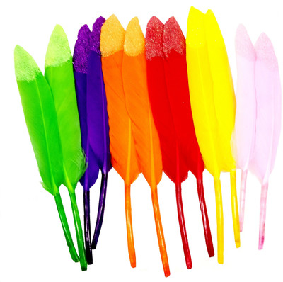 

Aadya Crafts Colourful Feathers Glitter Shaded Small