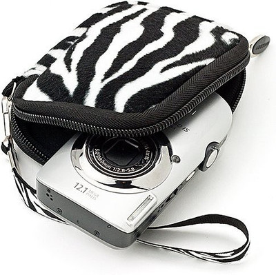 

Vangoddy AD_CAMLEA628STP777_0011 Camera Bag(Multicolor)
