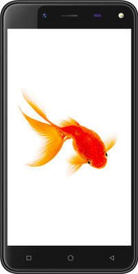 

Karbonn Titanium Frames S7 (Black, 32 GB)(3 GB RAM)