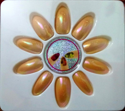 NAIL ART 24 CHROME NAILS WITH PROFESSIONAL NAIL GLUE FREE(AS PER IMAGE)