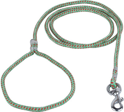 

Pet Needs Quality Nylon Rope Leash For Puppy- 150 cm 150 cm Dog Cord Leash(Green)