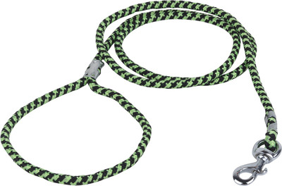 

Pet Needs Quality Nylon Rope Leash For Puppy- 150 cm 150 cm Dog Cord Leash(Green)