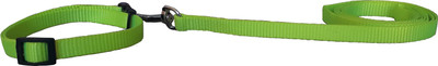 

Pet Needs High Quality Nylon Leash With Collar Set For Puppy -1 CM 114 cm Dog Strap Leash(Green)