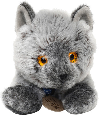 

Keel British Shorthair Cat Soft Toy - 10 cm(Multicolor)