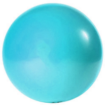 

Vijay Sports Gym ball blue VJS01 65 cm Gym Ball(Blue)