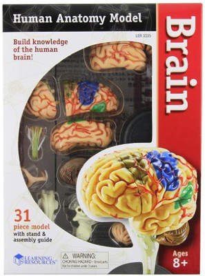 

Learning Resources LER3335(Multicolor)