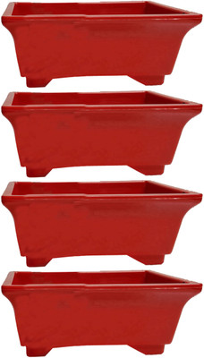 

Bluerider Plant Container Set(Plastic)
