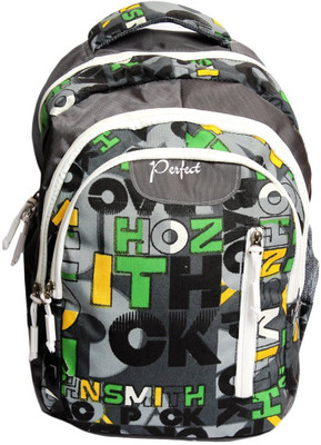 

Perfect Nylon School College Travel Hiking Camping 25 L Laptop Backpack(Multicolor), Multi