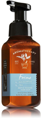 

Bath & Body Works Gentle Foaming Hand Soap, Aromatherapy Focus - 259ml (8.75oz)(259 ml, Pump Dispenser)