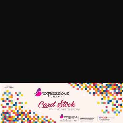 

expressions craft stamps Cardstock Plain 12x12 Multipurpose Paper(Set of 1, Black)