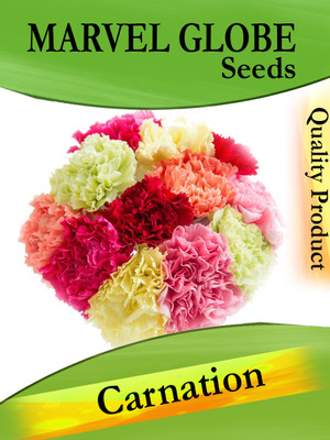 

Gkart Carnation, Dianthus, The Flowers of God Seed(20 per packet)