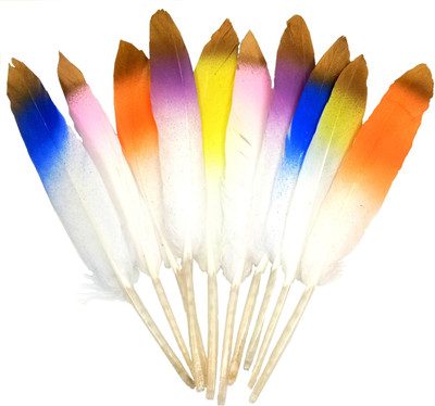 

Aadya Crafts White Feathers Shaded Small