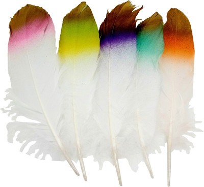 

Aadya Crafts White Feathers Shaded Medium