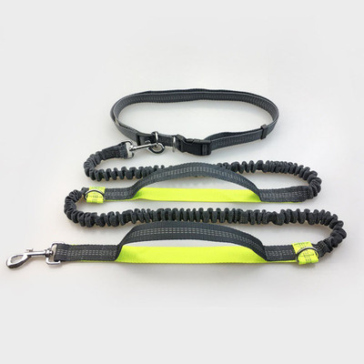 

VISMIINTREND Double Bungee Dog LEASH Dog Jogger(Double Bungee Dog LEASH)