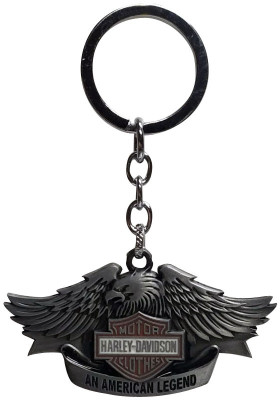 

Bluerider dfadsf Key Chain