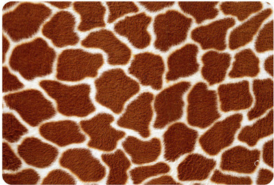 

JOINKART Patterns303 Vinyl Laptop Decal 14.1