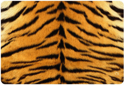 JOINKART Patterns77 Vinyl Laptop Decal 15.6
