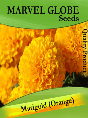 

Gkart Marigold (Orange) Seed(20 per packet)