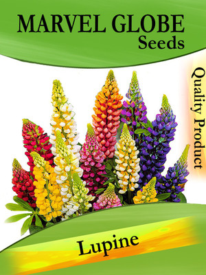 

Gkart lupine Seed(20 per packet)