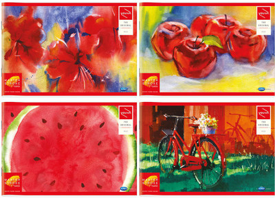 

Navneet Mini Notebook(Red, Multicolor, Pack of 4)