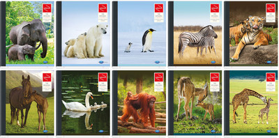 

Navneet Regular Notebook(Eternal Bound Series, Multicolor, Pack of 10)