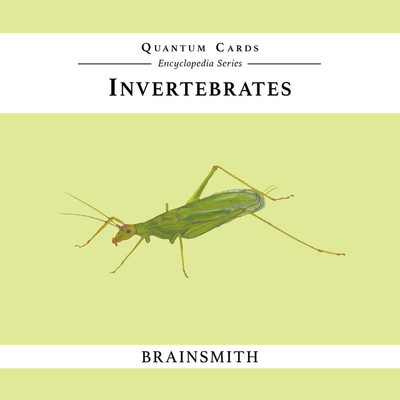 

Brainsmith Invertebrates Quantum Cards(Multicolor)