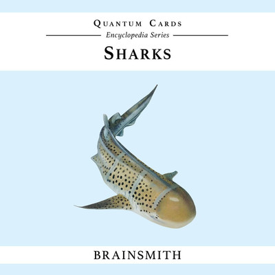 

Brainsmith Sharks Quantum Cards(Multicolor)