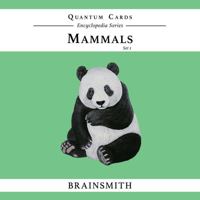 

Brainsmith Quantum Cards – Mammals Set 1 – Encyclopaedic Flashcards(Multicolor)