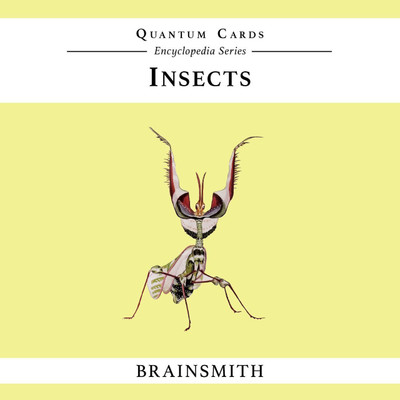 

Brainsmith Insects Quantum Cards(Multicolor)