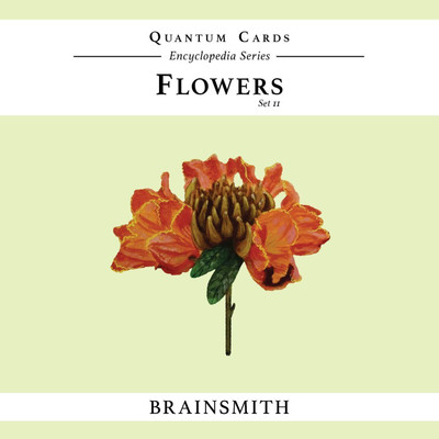 

Brainsmith Flowers (Set II) Quantum Cards(Multicolor)