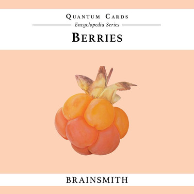 

Brainsmith Berries Quantum Cards(Multicolor)