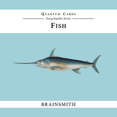 

Brainsmith Fish Quantum Cards(Multicolor)